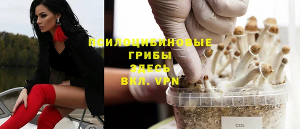 экстази Алексин